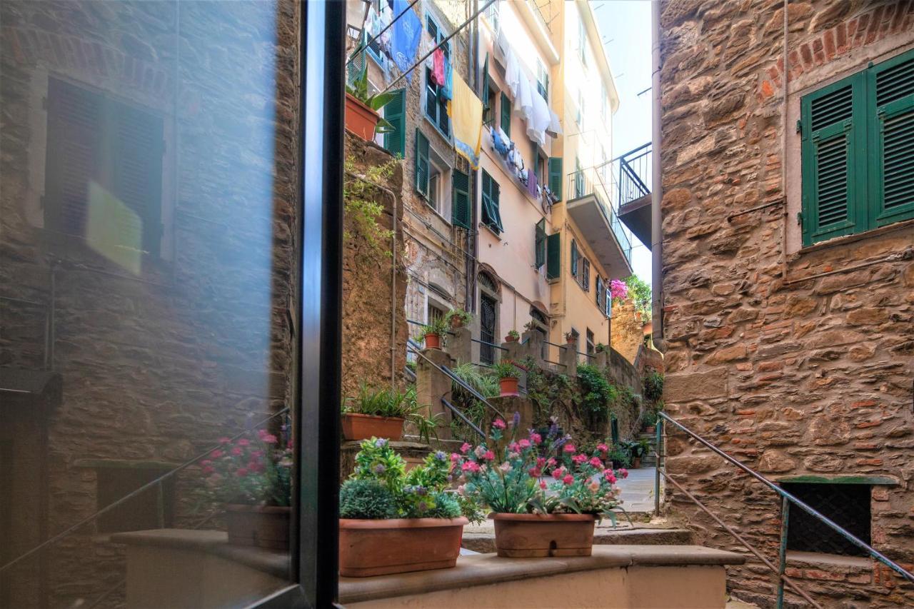 Casedirio -